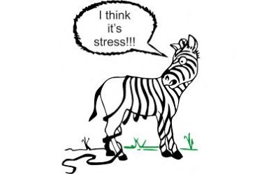 Valutazione e terapia dello stress